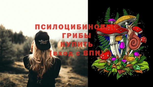молекула духа Навашино