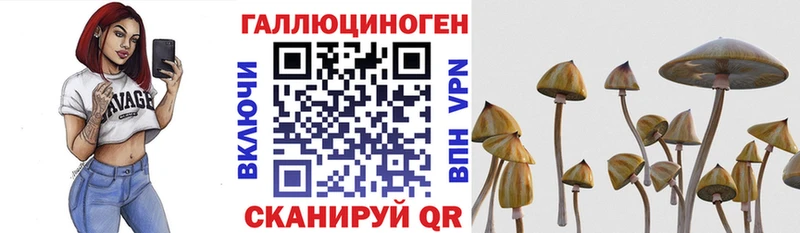 Галлюциногенные грибы Cubensis  Вологда 