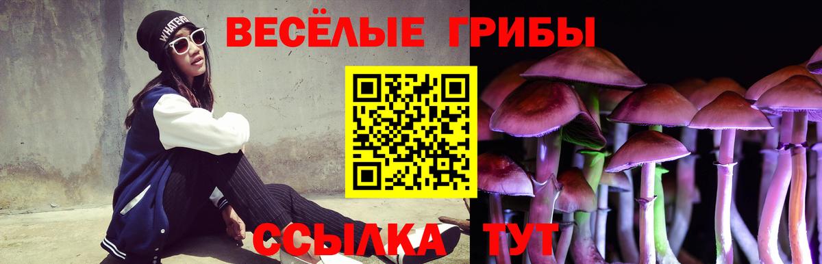 Галлюциногенные грибы Psilocybine cubensis  Галлюциногенные грибы Psilocybe  Вологда  Вход с VPN 